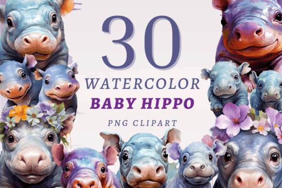 Download Baby Hippo PNG Bundle - Hippo Collection