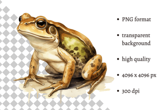 Download Watercolor Frog Illustration - Illustration Collection