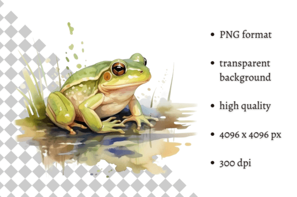 Download Watercolor Frog Illustration - Illustration Collection