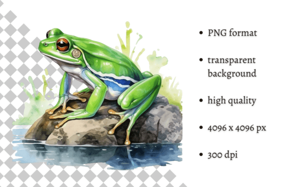 Download Watercolor Frog Illustration - Illustration Collection
