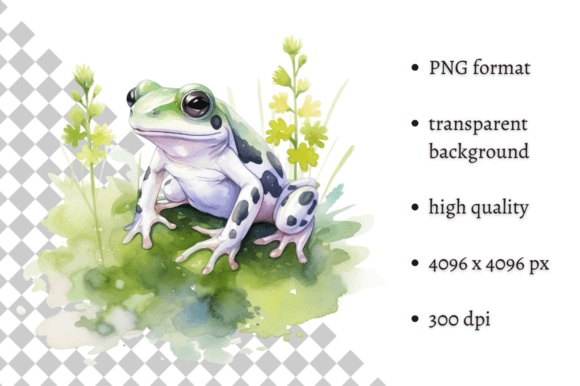 Download Watercolor Frog Illustration - Illustration Collection
