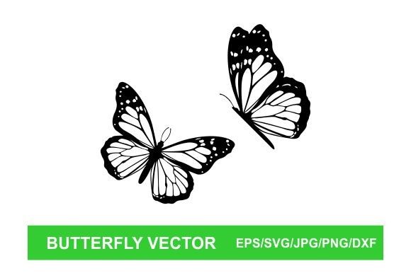 Download Butterfly Vector - Butterfly Collection