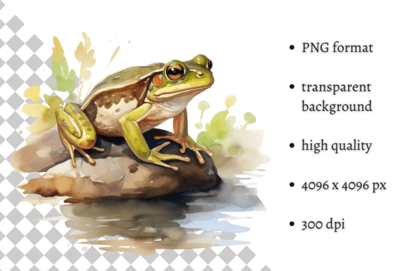 Download Watercolor Frog Illustration - Illustration Collection