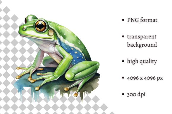 Download Watercolor Frog Illustration - Illustration Collection
