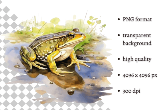 Download Watercolor Frog Illustration - Illustration Collection